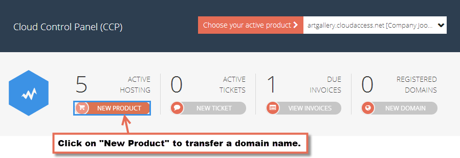 transferring domain name